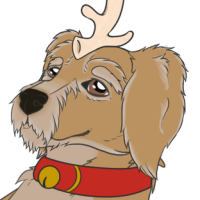 Thumbnail for G-ML-206: Maximus