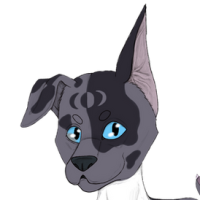 Thumbnail for G-ML-261: Cerridwen